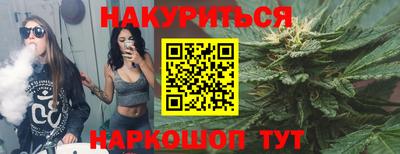 стафф Шебекино