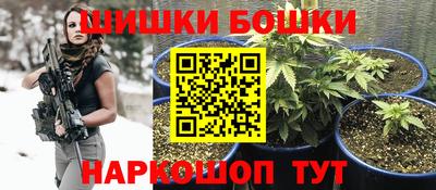 стафф Шебекино