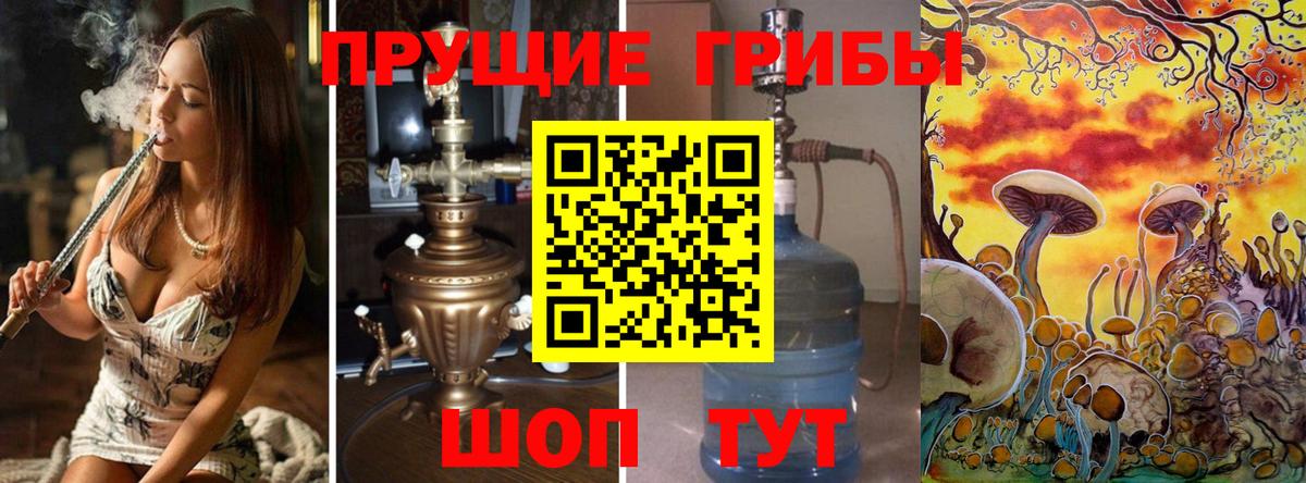 Псилоцибиновые грибы Psilocybe  Галлюциногенные грибы MAGIC MUSHROOMS  Вход с VPN  Йошкар-Ола 