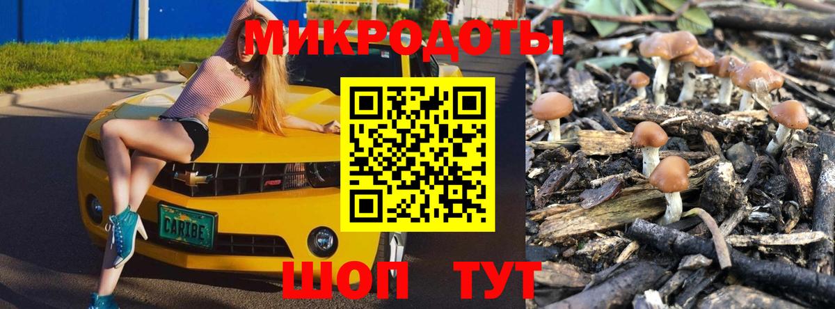 Галлюциногенные грибы GOLDEN TEACHER Йошкар-Ола